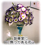 診療室に飾ってある花